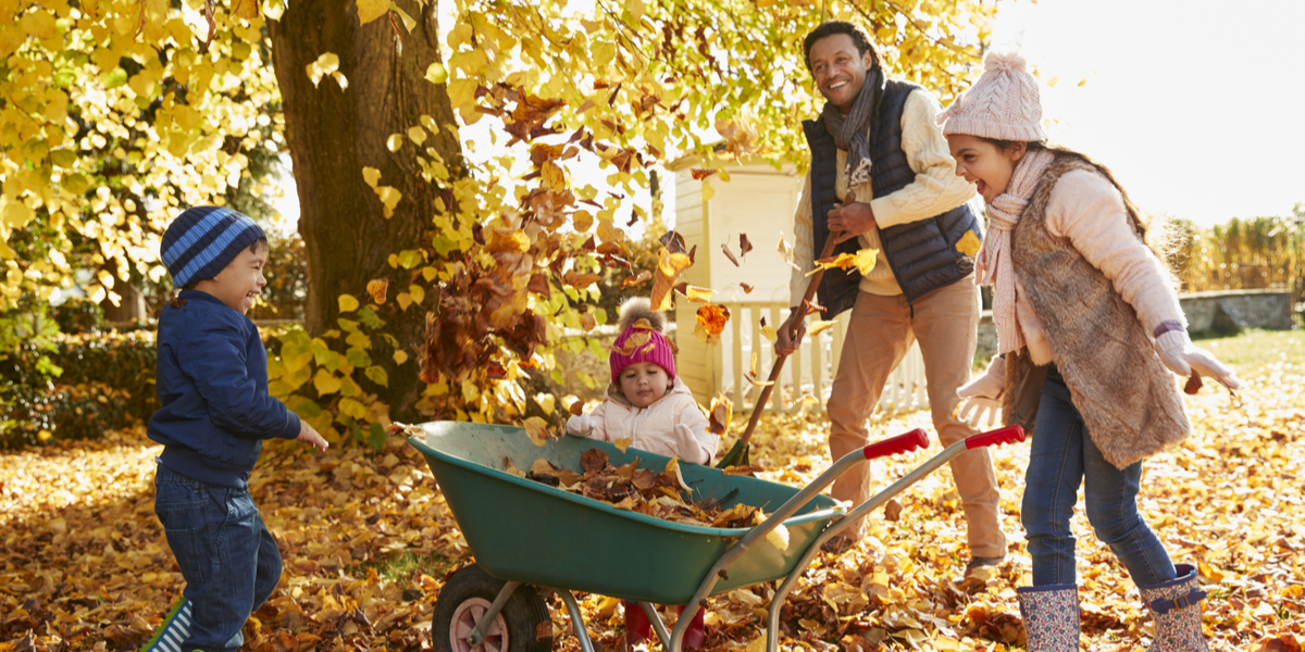 Energy Efficiency Day Energy Efficiency Day